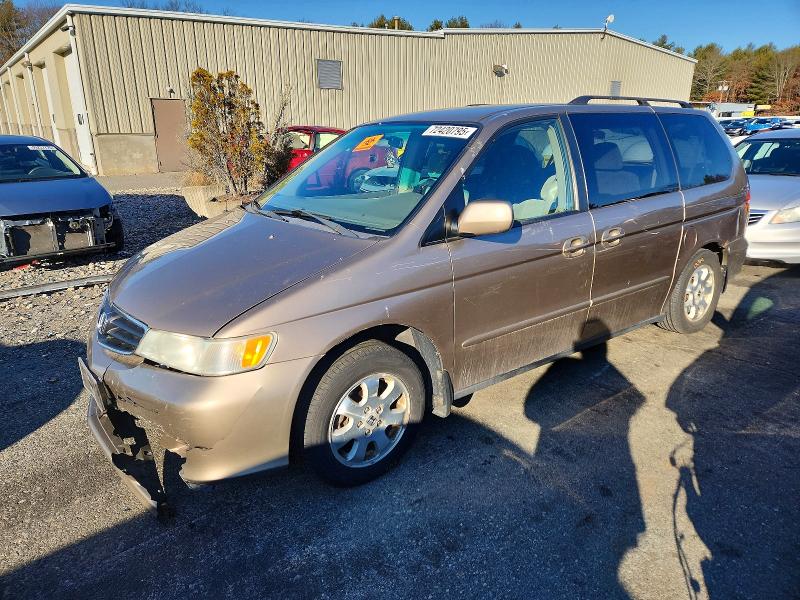 HONDA ODYSSEY 2004 with VIN 5FNRL18644B024788 - Photo from auction