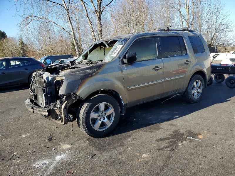 HONDA PILOT EXL 2010 with VIN 5FNYF4H53AB037586 - Photo from auction