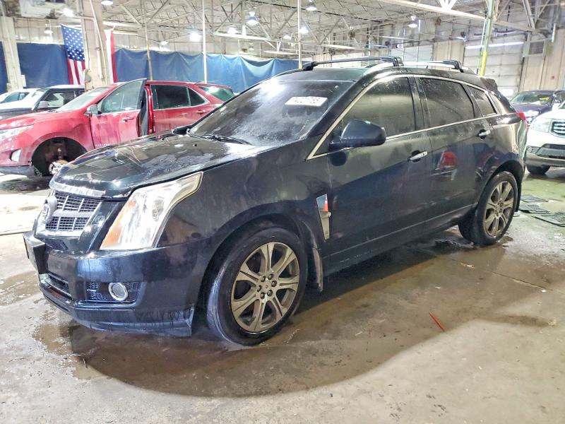CADILLAC SRX PERFOR 2012 with VIN 3GYFNEE32CS500888 - Photo from auction