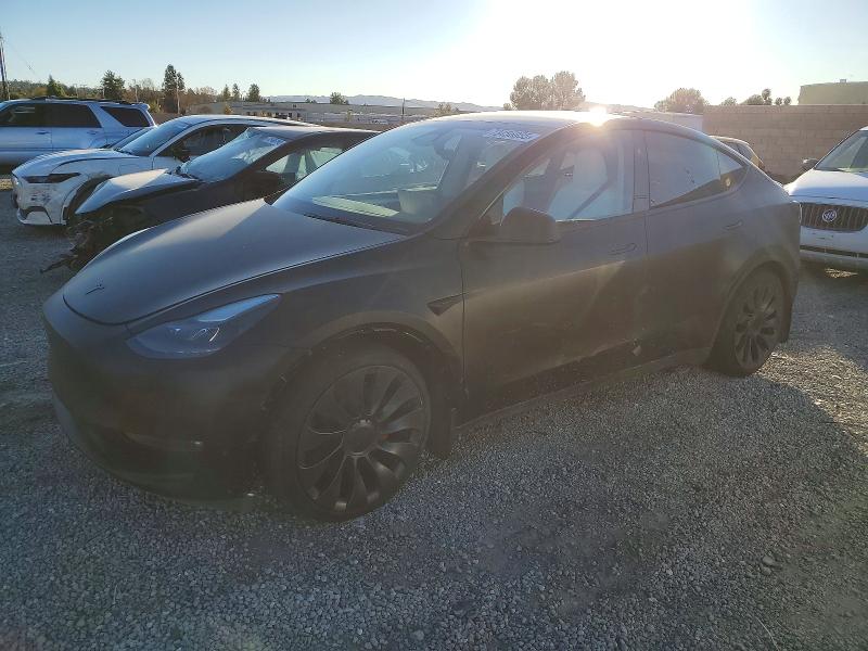 TESLA MODEL Y 2024 with VIN 7SAYGDEF0RF078881 - Photo from auction