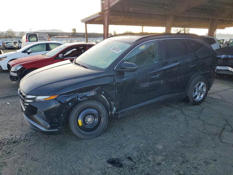 HYUNDAI TUCSON SEL 2023 with VIN 5NMJBCAE9PH223156 - Photo from auction