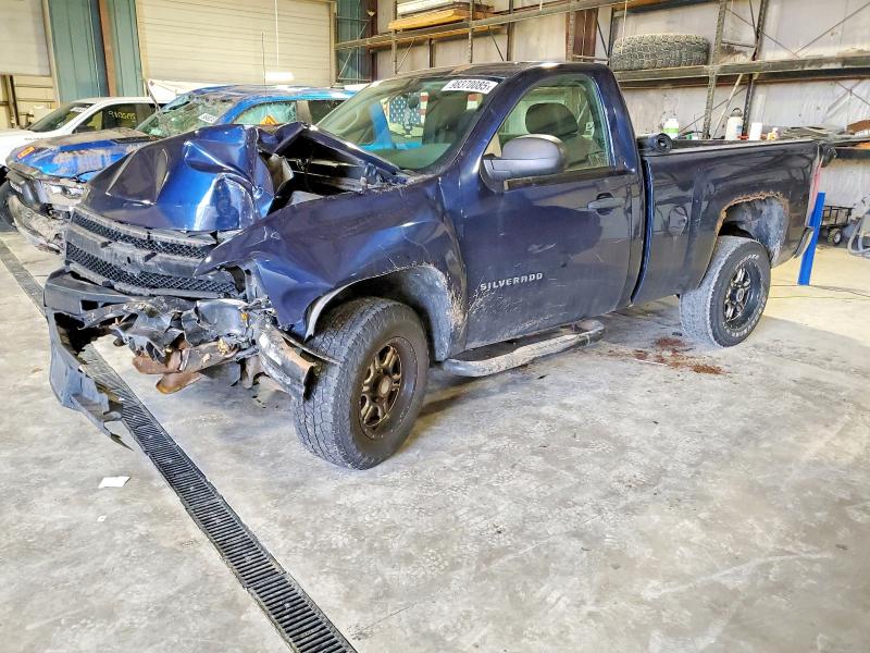 CHEVROLET SILVERADO 2010 with VIN 1GCPCPEX0AZ172272 - Photo from auction