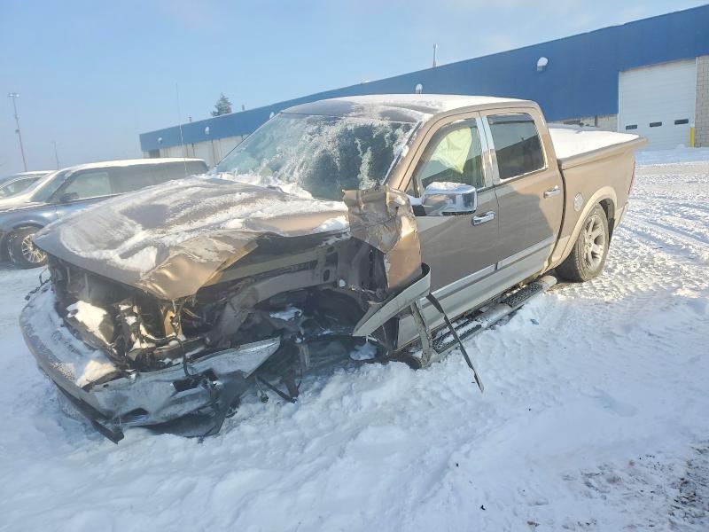 DODGE RAM 1500 2009 with VIN 1D3HV13T49S788337 - Photo from auction