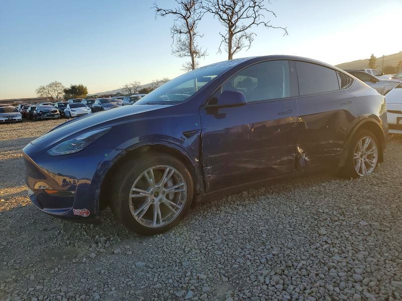 TESLA MODEL Y 2023 with VIN 7SAYGDEE4PF842249 - Photo from auction