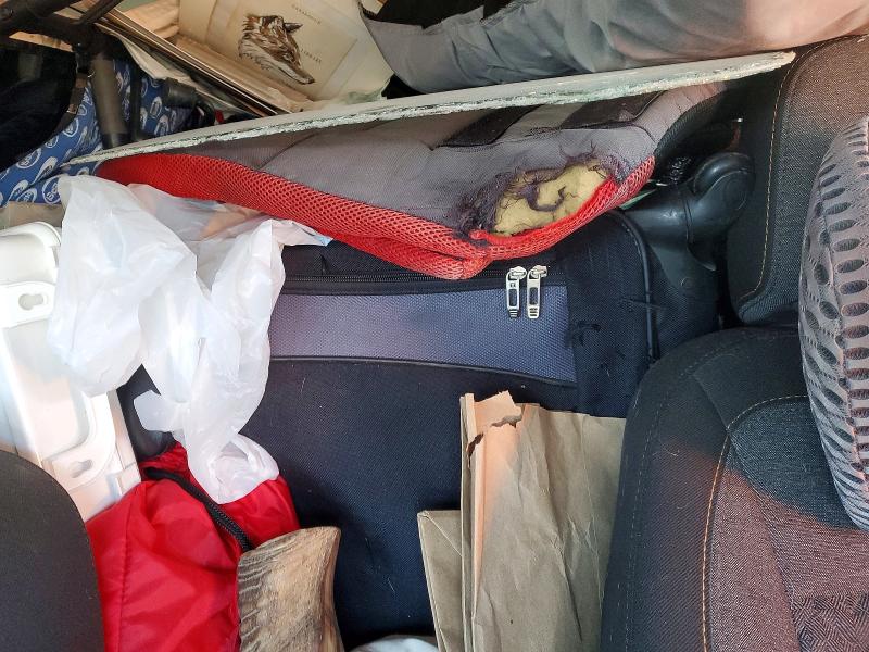 Photo 10 from auction – 2024 CHEVROLET EQUINOX with VIN 3GNAXKEG0RL362175