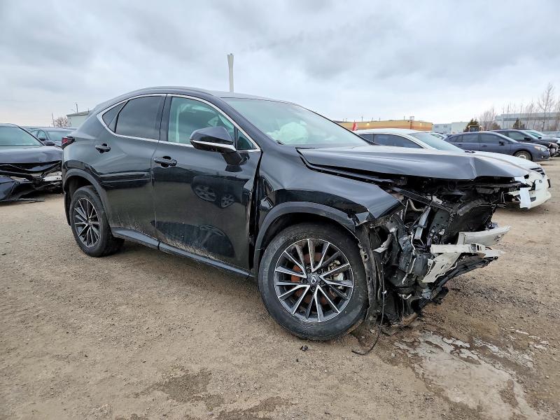 Photo 4 from auction – 2025 LEXUS NX 250 BAS with VIN 2T2ADCEZ1SC005326