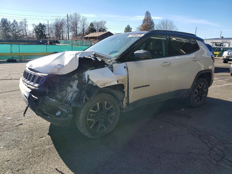 JEEP COMPASS TR 2019 with VIN 3C4NJDDB9KT660436 - Photo from auction