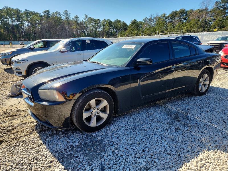DODGE CHARGER 2014 with VIN 2C3CDXBG3EH150289 - Photo from auction
