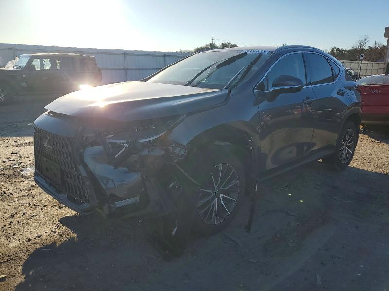 LEXUS NX 350 2023 with VIN 2T2GGCEZXPC026958 - Photo from auction