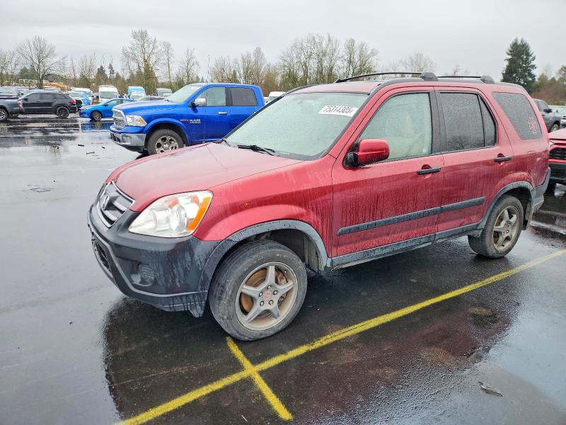 HONDA CR-V EX 2005 with VIN JHLRD788X5C037810 - Photo from auction