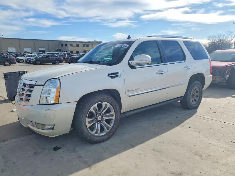 CADILLAC ESCALADE 2010 with VIN 1GYUCCEF8AR286548 - Photo from auction