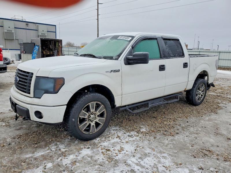 FORD F150 2014 with VIN 1FTFW1EF5EFB30713 - Photo from auction
