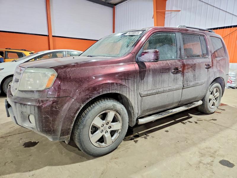 HONDA PILOT EXL 2011 with VIN 5FNYF4H5XBB503077 - Photo from auction