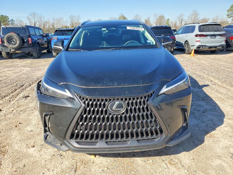 Photo 5 from auction – 2025 LEXUS NX with VIN 2T2GDCAZ4SC019415