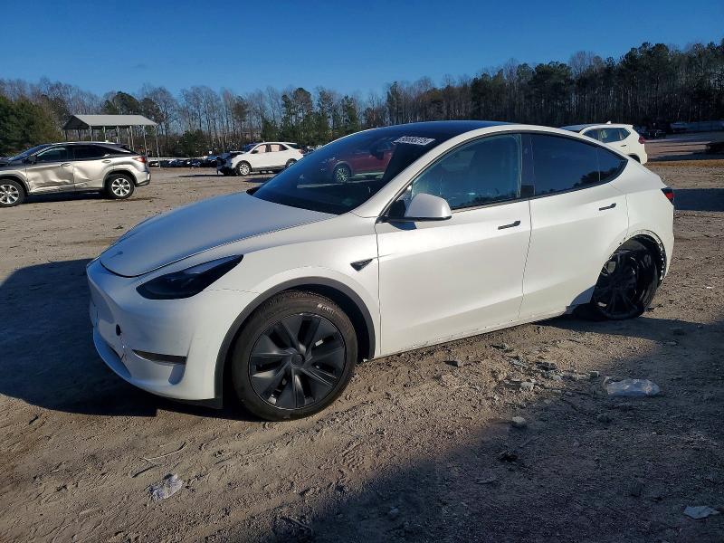TESLA MODEL Y 2024 with VIN 7SAYGDED1RF182598 - Photo from auction