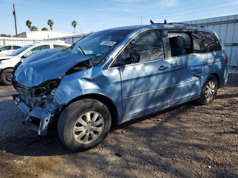 HONDA ODYSSEY 2009 with VIN 5FNRL38429B055622 - Photo from auction