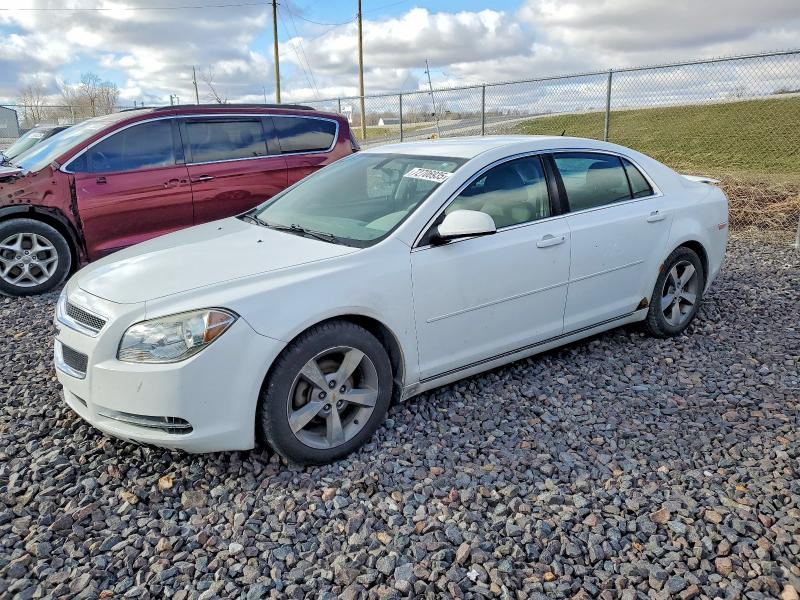 CHEVROLET MALIBU 1LT 2011 with VIN 1G1ZC5E14BF350169 - Photo from auction