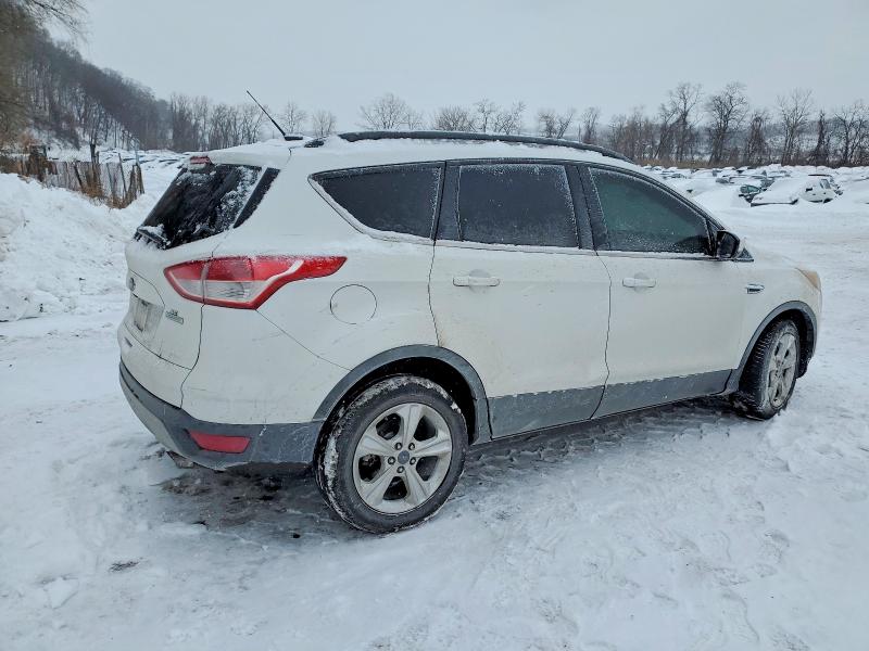 Photo 3 from auction – 2014 FORD ESCAPE SE with VIN 1FMCU0GX8EUD73805