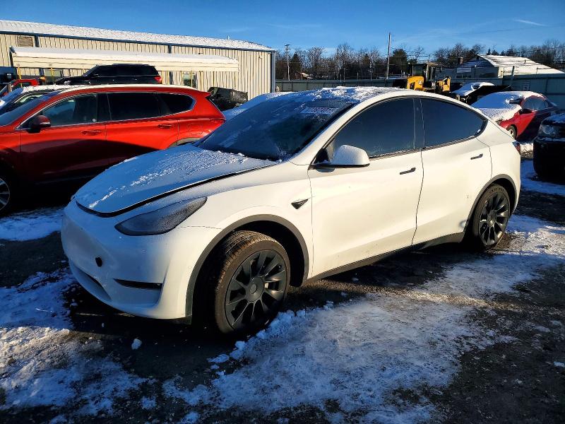 TESLA MODEL Y 2023 with VIN 7SAYGAEE6PF585481 - Photo from auction