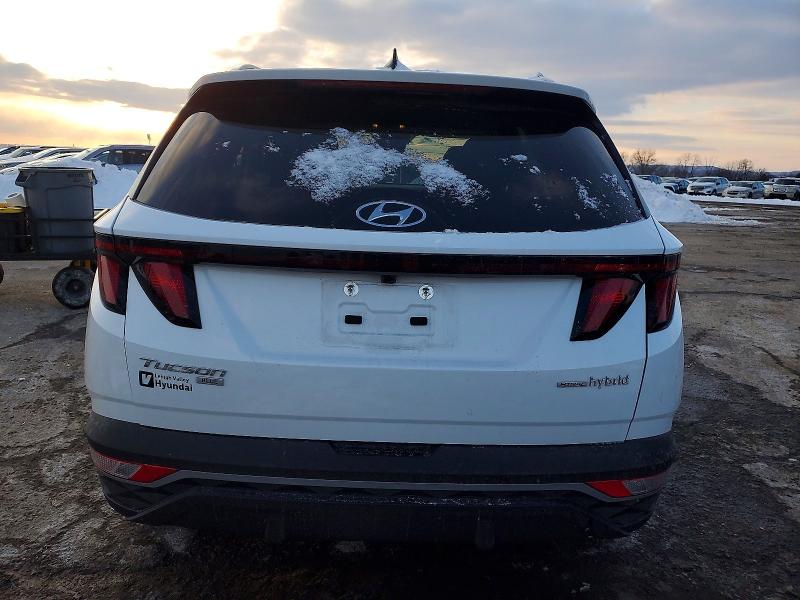 Photo 6 from auction – 2024 HYUNDAI TUCSON BLU with VIN KM8JBCD10RU194789