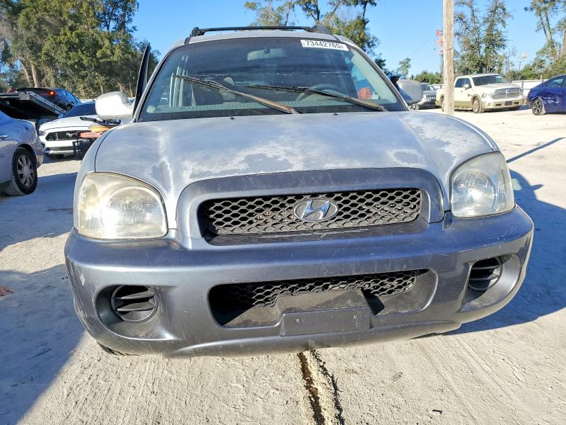 Photo 5 from auction – 2004 HYUNDAI SANTA FE with VIN KM8SB12B64U803557