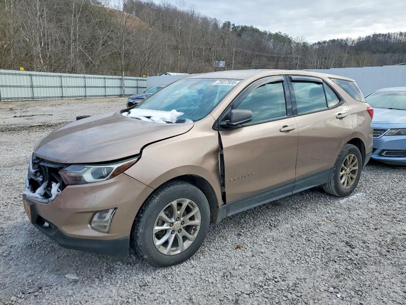 CHEVROLET EQUINOX LS 2019 with VIN 2GNAXSEV5K6159680 - Photo from auction