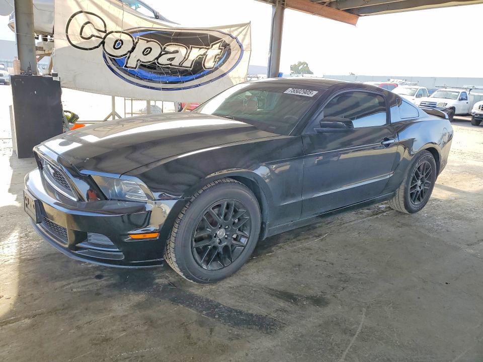 FORD MUSTANG 2014 with VIN 1ZVBP8AM4E5327447 - Photo from auction