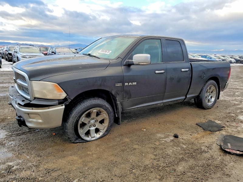 DODGE RAM 1500 2009 with VIN 1D3HV18T39S751692 - Photo from auction