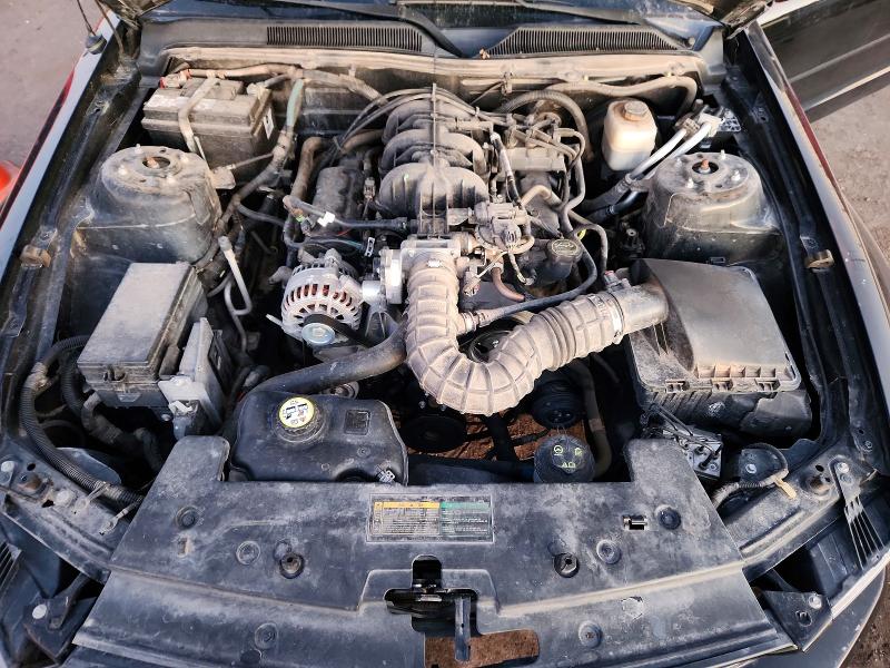 Photo 11 from auction – 2007 FORD MUSTANG with VIN 1ZVFT84N375296552