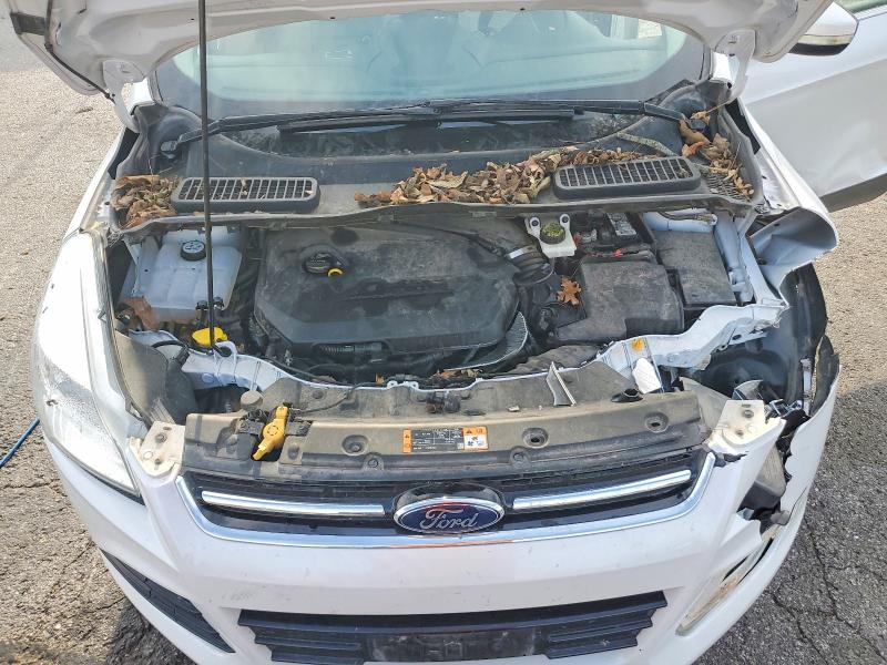 Photo 12 from auction – 2014 FORD ESCAPE with VIN 1FMCU9JX3EUE00468