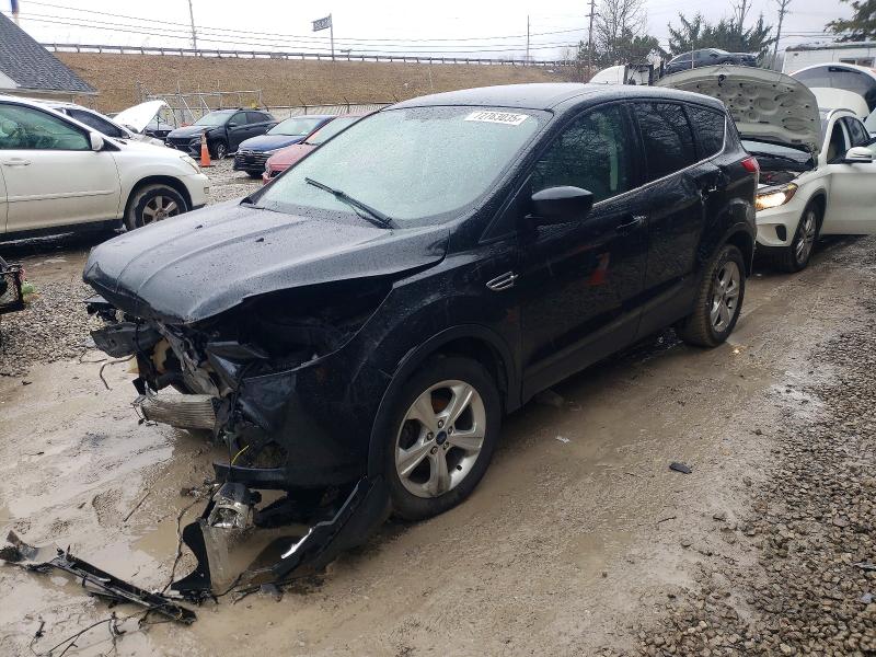 Photo 1 from auction – 2014 FORD ESCAPE SE with VIN 1FMCU0GX5EUC58465