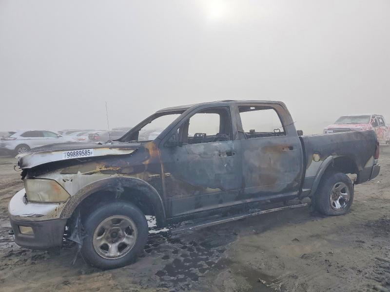 DODGE RAM 1500 2009 with VIN 1D3HV13T09S789145 - Photo from auction