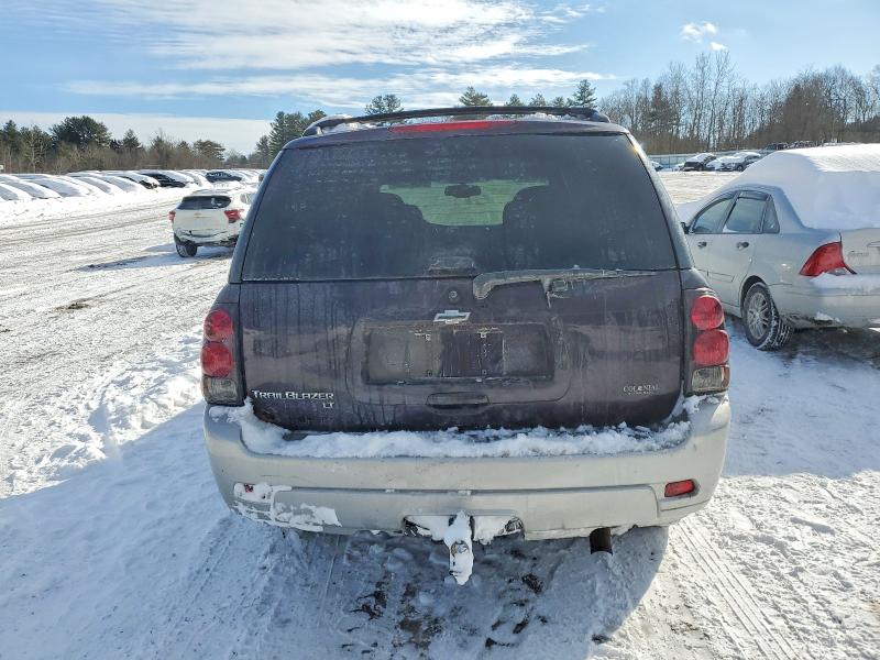 Photo 6 from auction – 2008 CHEVROLET TRAILBLAZE with VIN 1GNDT13S382169366