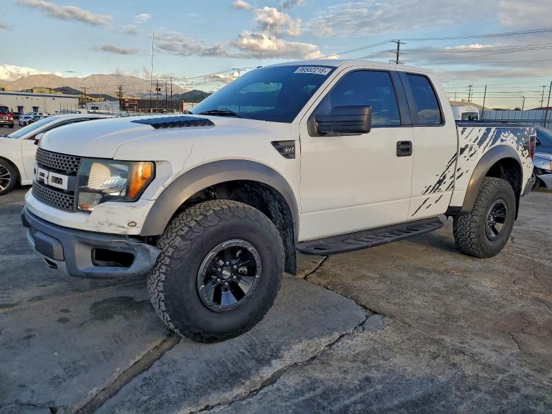 FORD F150 SUPER 2010 with VIN 1FTEX1EV9AFA55007 - Photo from auction