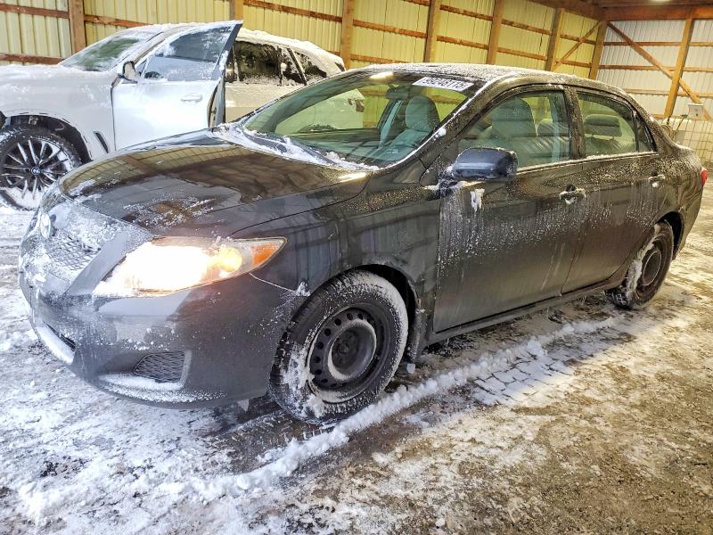TOYOTA COROLLA BA 2010 with VIN 2T1BU4EE6AC374435 - Photo from auction