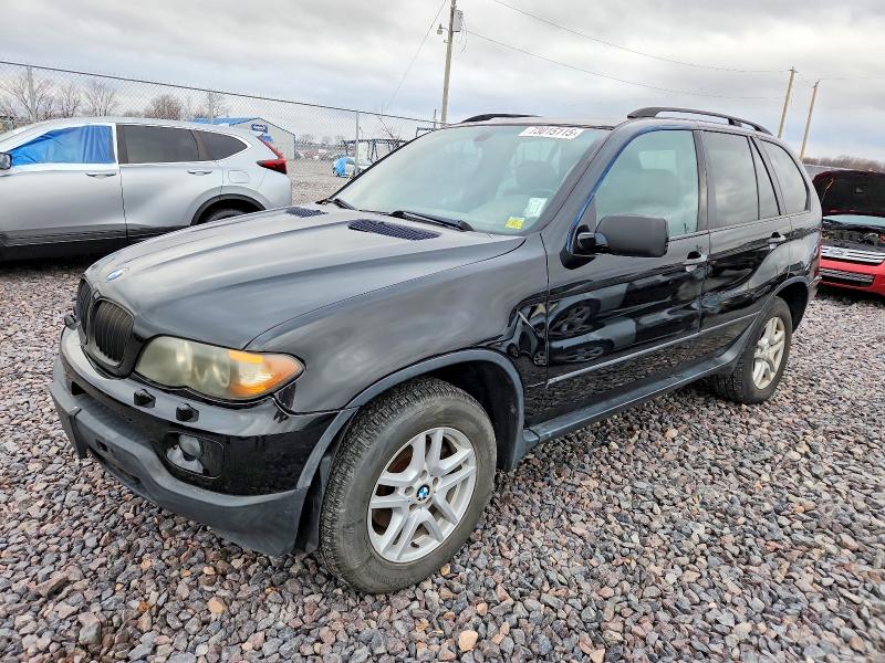 BMW X5 3.0I 2006 with VIN 5UXFA13566LY48183 - Photo from auction