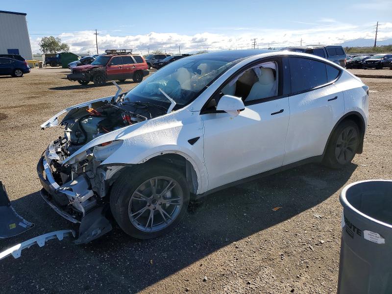 TESLA MODEL Y 2025 with VIN 7SAYGDED2SF254429 - Photo from auction