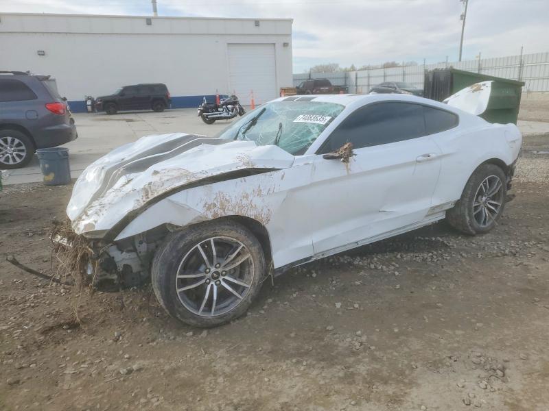 Photo 1 from auction – 2017 FORD MUSTANG with VIN 1FA6P8TH5H5295901