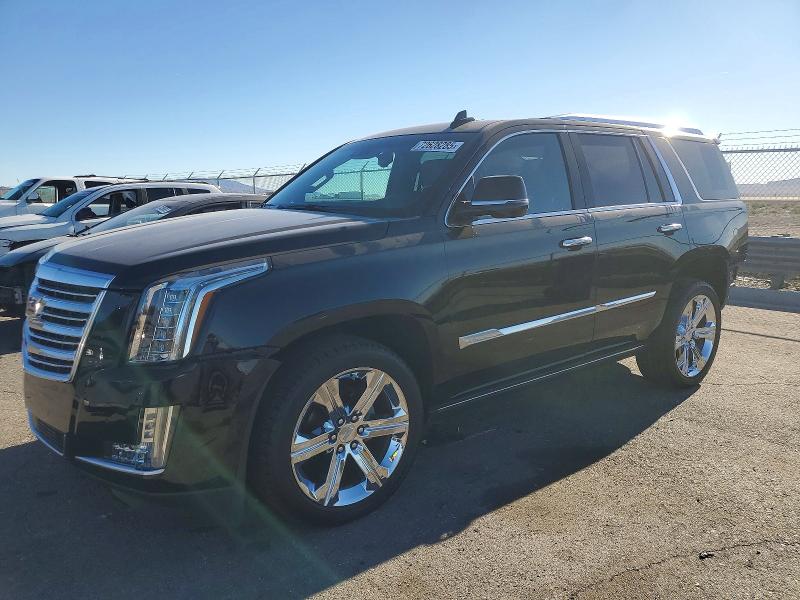 CADILLAC ESCALADE P 2016 مع رقم تعريف المركبة 1GYS4DKJ0GR300146 - صورة من المزاد