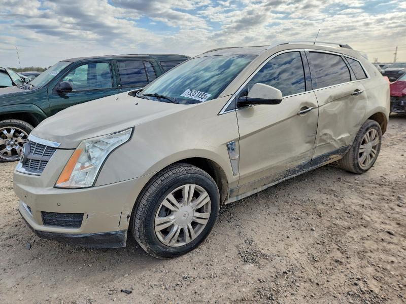 CADILLAC SRX 2010 with VIN 3GYFNAEY2AS561255 - Photo from auction