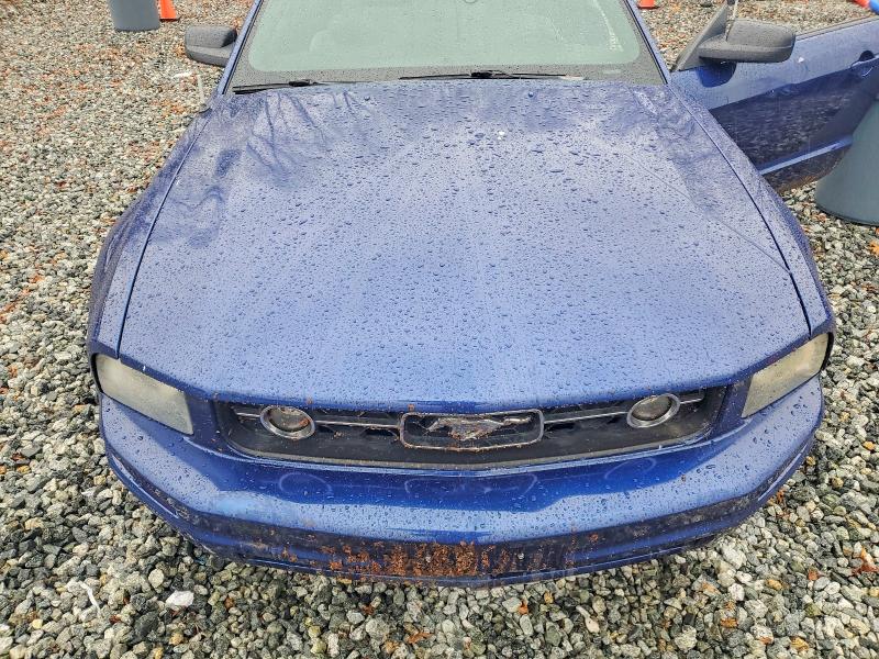 Photo 11 from auction – 2007 FORD MUSTANG with VIN 1ZVFT80N375325196