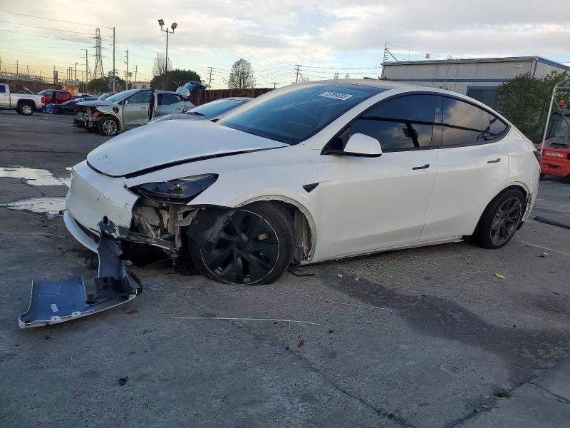 TESLA MODEL Y 2024 with VIN 7SAYGDED5RF120492 - Photo from auction