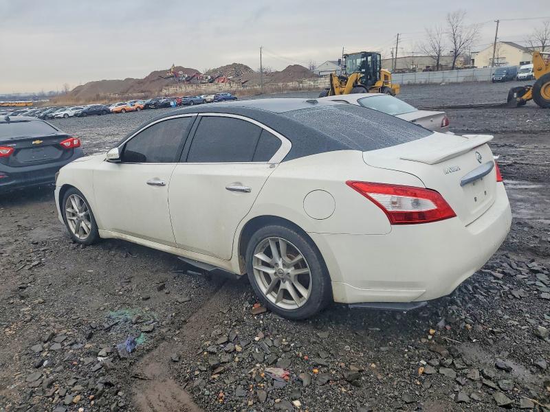Photo 2 from auction – 2010 NISSAN MAXIMA S with VIN 1N4AA5AP1AC812164