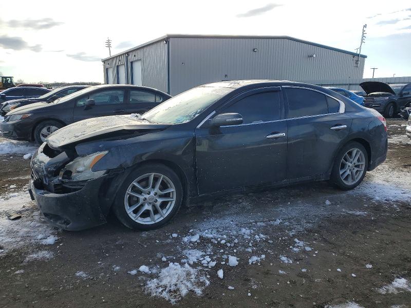 NISSAN MAXIMA 2009 with VIN 1N4AA51E99C826470 - Photo from auction