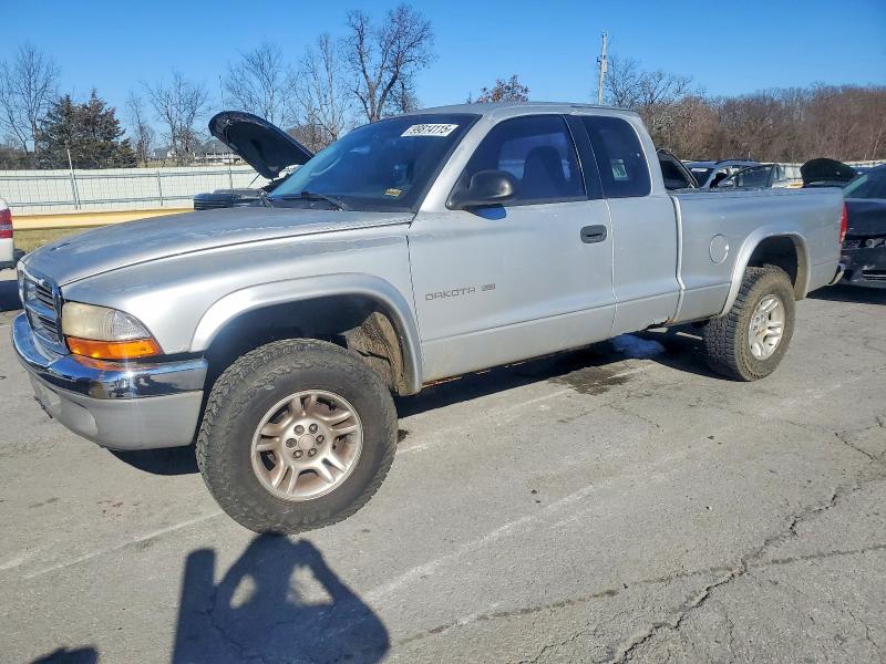DODGE DAKOTA 2001 with VIN 1B7GG22N11S225290 - Photo from auction