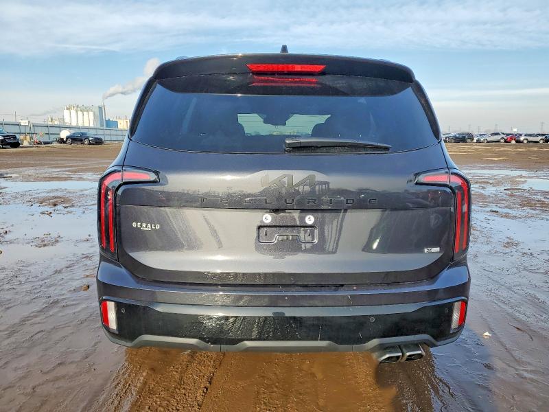 Photo 6 from auction – 2025 KIA TELLURIDE with VIN 5XYP3DGC7SG623156