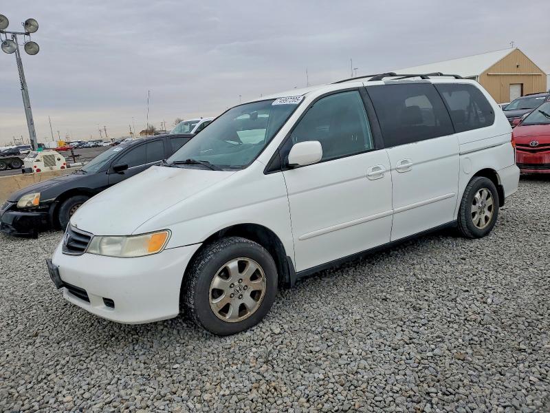 HONDA ODYSSEY 2003 with VIN 5FNRL18063B005671 - Photo from auction