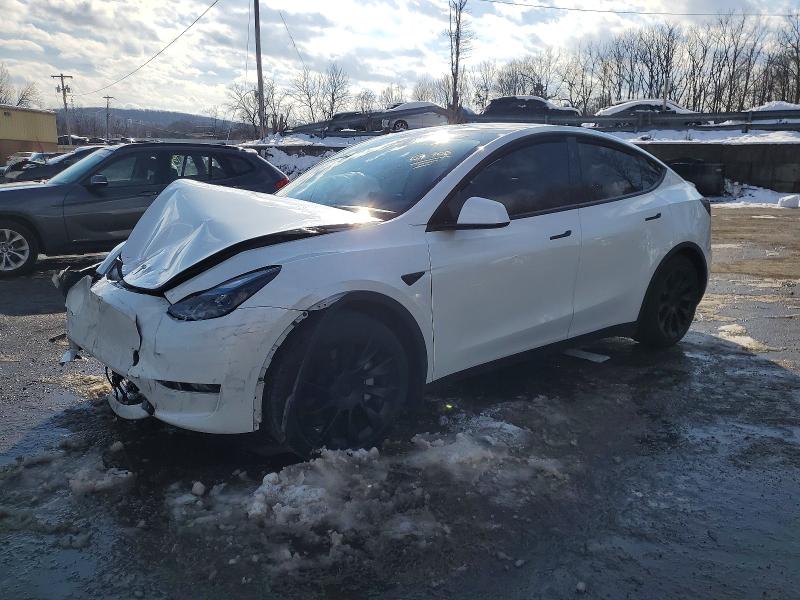 TESLA MODEL Y 2023 with VIN 7SAYGAEE1PF969121 - Photo from auction