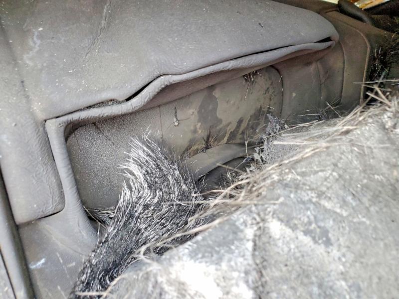 Photo 9 from auction – 2023 RAM 1500 with VIN 1C6RRFFG0PN612823
