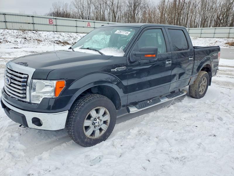 FORD F150 SUPER 2010 with VIN 1FTFW1EV6AFB77248 - Photo from auction